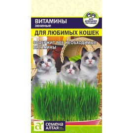 Газонная трава для кошек 10г Семена Алтая, фото 