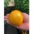 Томат Оранжевый спам F1 20шт Семко, фото , изображение 3