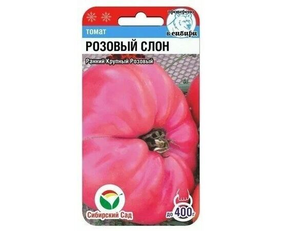 Томат Розовый Слон 20шт Сибирский сад, фото 