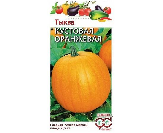 Тыква Кустовая оранжевая 1г Гавриш, фото 