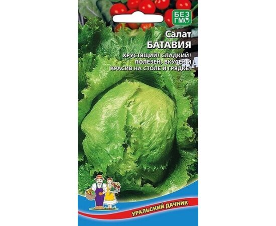 Салат кочанный Батавия 0,25г Уральский дачник, фото 