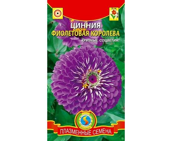 Цинния Фиолетовая королева 0,3г Плазменные семена, фото 